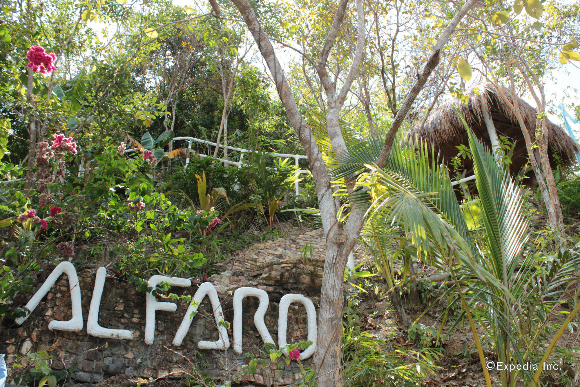Al Faro Cosmio Hotel Palawan Busuanga Exterior photo